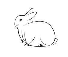 rabbit animal sketch
