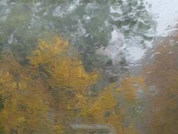 Rain Disc Blurry