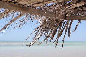 Beach Sun Summer