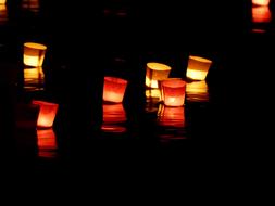 Candles Lights Serenade