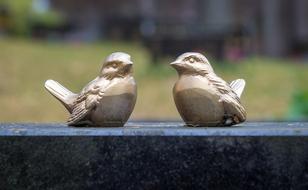 Bird Golden