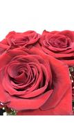 Imported Red Roses Love Feast