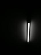 Bulbs Fire The Darkness