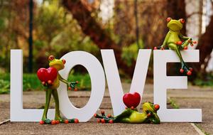 Frogs Pair Love