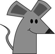 mice rat gray cute mammal animal