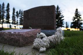 forgotten toy at the monument