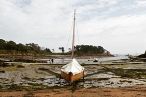 Boat See Nature