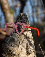 red glasses on the stump