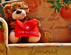 Teddy bear MotherS Day Love