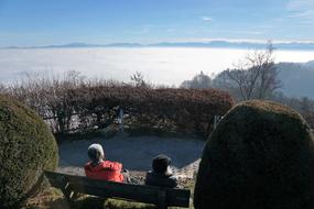 Fog Sky Nature