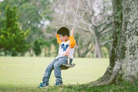 Nature Pleasure Lawn