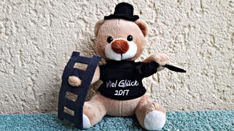 Teddy Bear Chimney Sweep Happiness