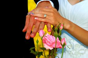 Wedding rings on the couple hands