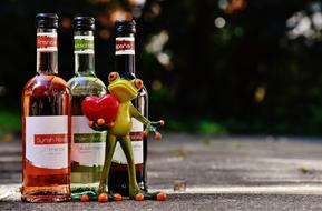 Frog Love Celebrate