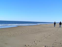 Beach Walking Sun