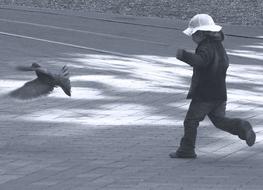 Child Pigeon Catch