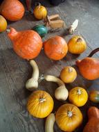 Lots of pumpkins on the table