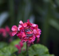 Ring Flower Heart Bride groom