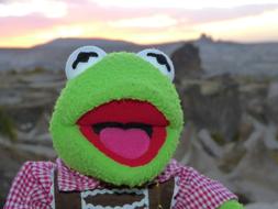 Kermit Frog Green