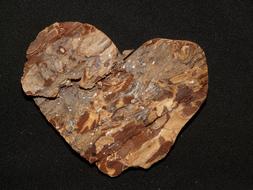 Bark Tree Heart