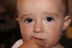 Baby Detail Of Head