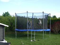Trampoline Children Playing