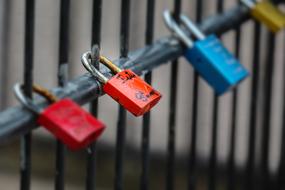 Multi-colored locks on the fence