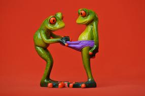 Frogs Curious Funny