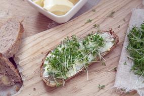 Cress Food Green