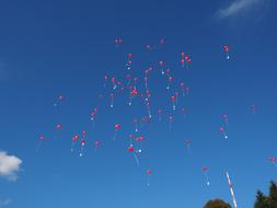 Balloons Flying Wedding congratulations