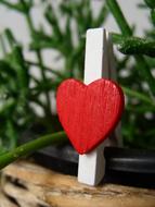 Heart Love Para
