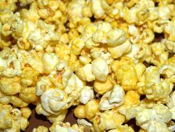 Popcorn Corn Pop