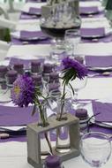 purple Flowers on Table