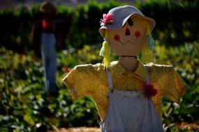 Scarecrow Lady Yellow