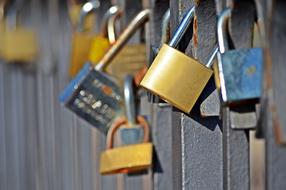 paired locks on the fence