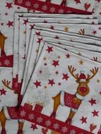 Napkins Reindeer Moose