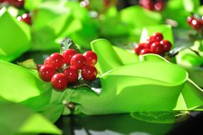 seaasonal Christmas Gifts