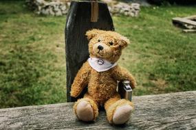 soft toy bear sitting