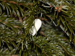 Heart Christmas Tree