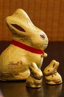 Easter Bunny Rabbit Gold Foil