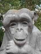 Monkey Stone Stony