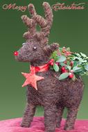ren reindeer greeting card rudolph