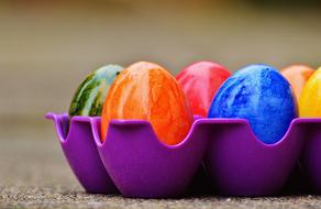 Easter Eggs Colorful Happy