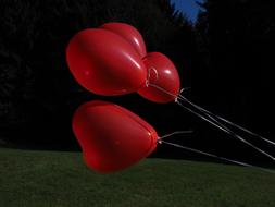 red balls on a rope in a green field