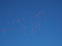 bright balls in the blue sky a lot