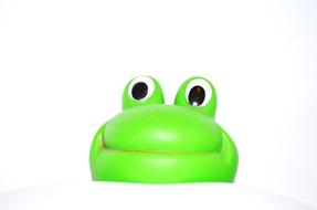 green toad on a white background