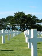 white cross in a green meadow