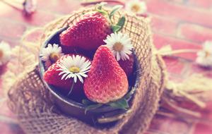 ripe strawberries and daisies in a metal bucket