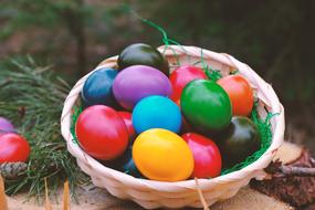 colorful eggs in basket