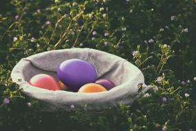 dainty Eggs Colorful